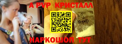 стаф Гудермес