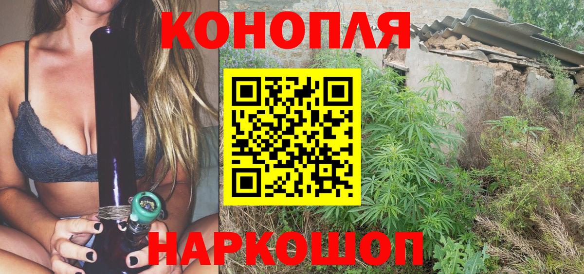 Псилоцибиновые грибы Бийск